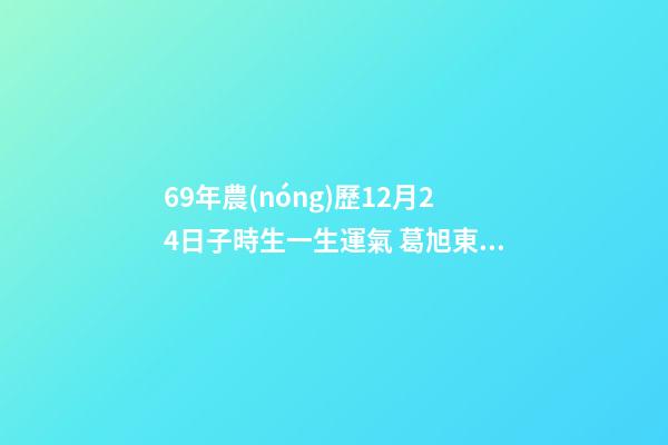 69年農(nóng)歷12月24日子時生一生運氣 葛旭東，1969年12月24日子時出生幫忙算一下運勢-第1張-觀點-玄機派